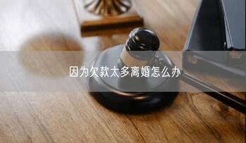 因为欠款太多离婚怎么办