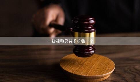 一级律师总共多少钱一个