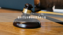 丽水专业刑事律师费用多少钱