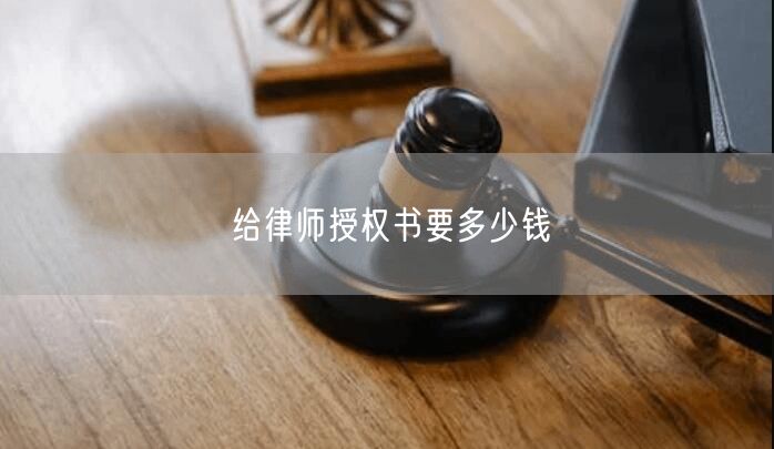 给律师授权书要多少钱