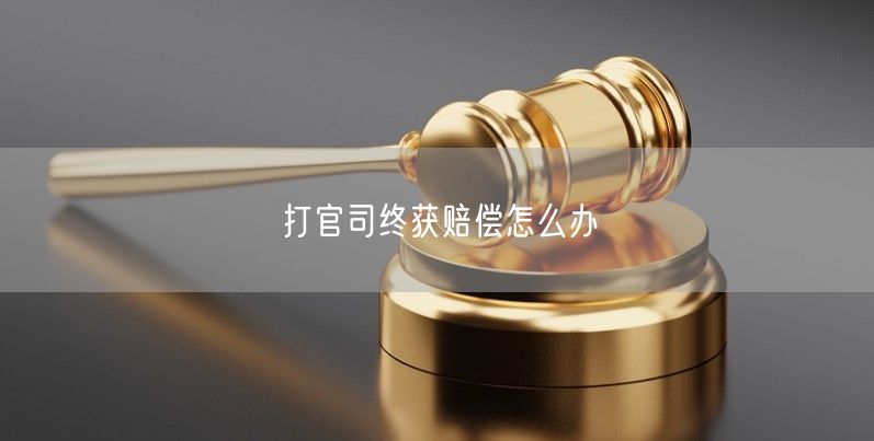 打官司终获赔偿怎么办