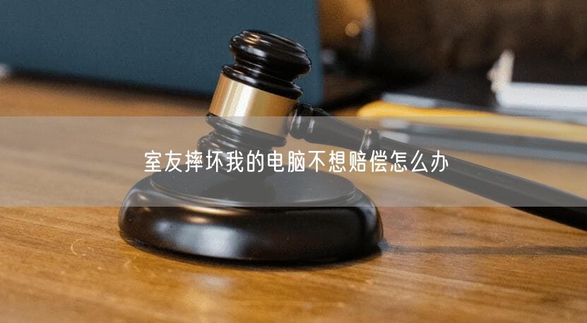 室友摔坏我的电脑不想赔偿怎么办