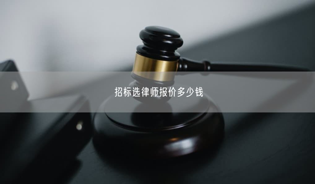 招标选律师报价多少钱