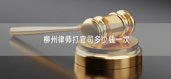 柳州律师打官司多少钱一次