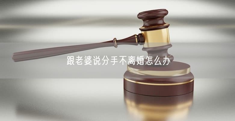 跟老婆说分手不离婚怎么办