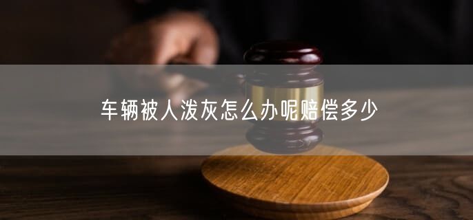 车辆被人泼灰怎么办呢赔偿多少