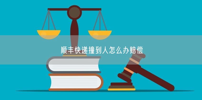 顺丰快递撞到人怎么办赔偿