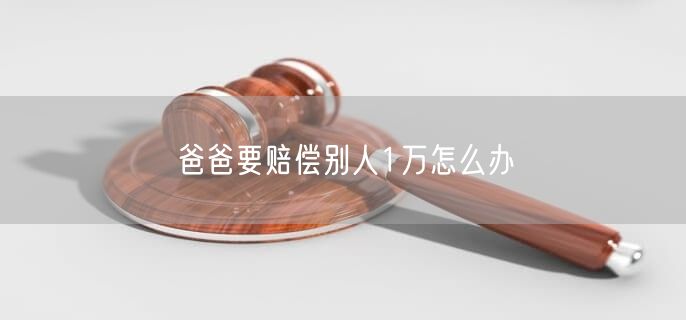 爸爸要赔偿别人1万怎么办