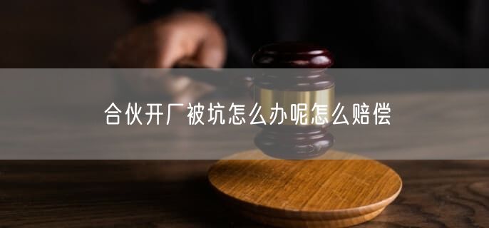 合伙开厂被坑怎么办呢怎么赔偿